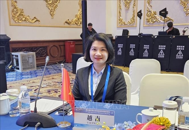 Dr. Pham Thi Thanh Loan, General Director of Guangdong Viet-Viet Tourism and Trade Services Co., Ltd. (Photo: VNA)