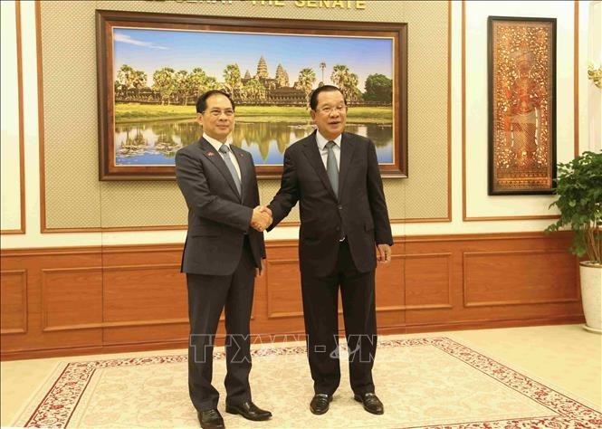 President of the Cambodian Senate and President of the Cambodian People's Party (CPP) Samdech Techo Hun Sen and Deputy Prime Minister Bui Thanh Son pose for a commemorative photo.