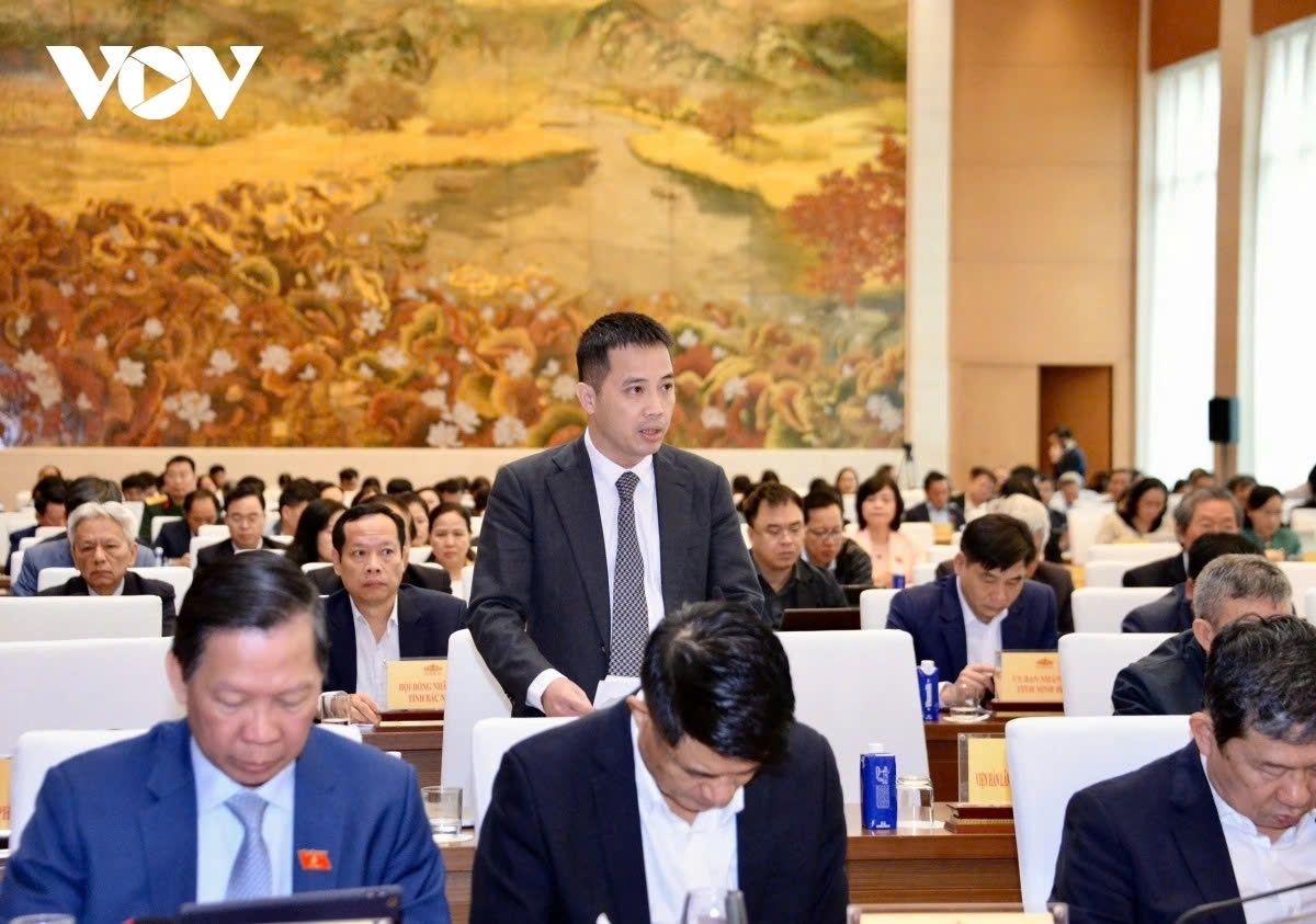 A representative of the Vietnam Chamber of Commerce and Industry makes proposals to perfect the legal system
