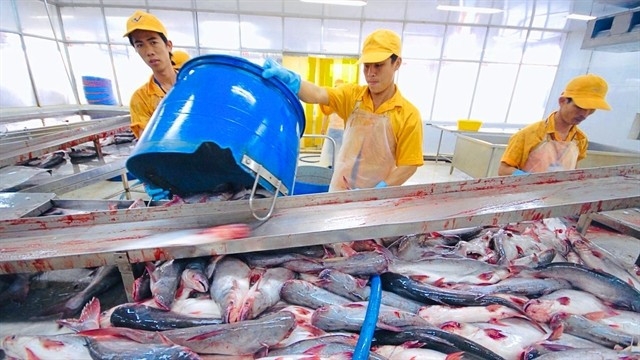 Workers at a processing line of a Vinh Hoan plant. (Photo: vasep.com.vn)