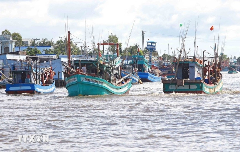 The WTO Agreement on Fisheries Subsidies, adopted at the WTO’s 12th Ministerial Conference in 2022, prohibits subsidies that contribute to overfishing or illegal, unreported and unregulated (IUU) fishing. (Photo: VNA)