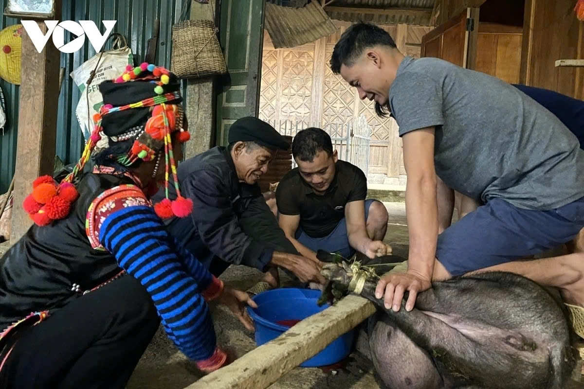 The ha Nhi ethnic people slaughter a pig to celebrate their traditional New Year festival