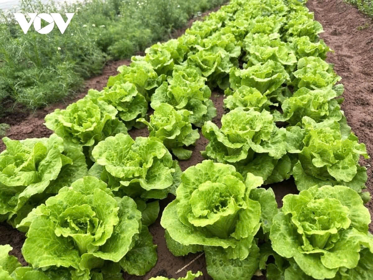 The transition to circular agriculture still faces barriers that need to be addressed, including issues related to land, capital, science and technology, and certain incentive mechanisms