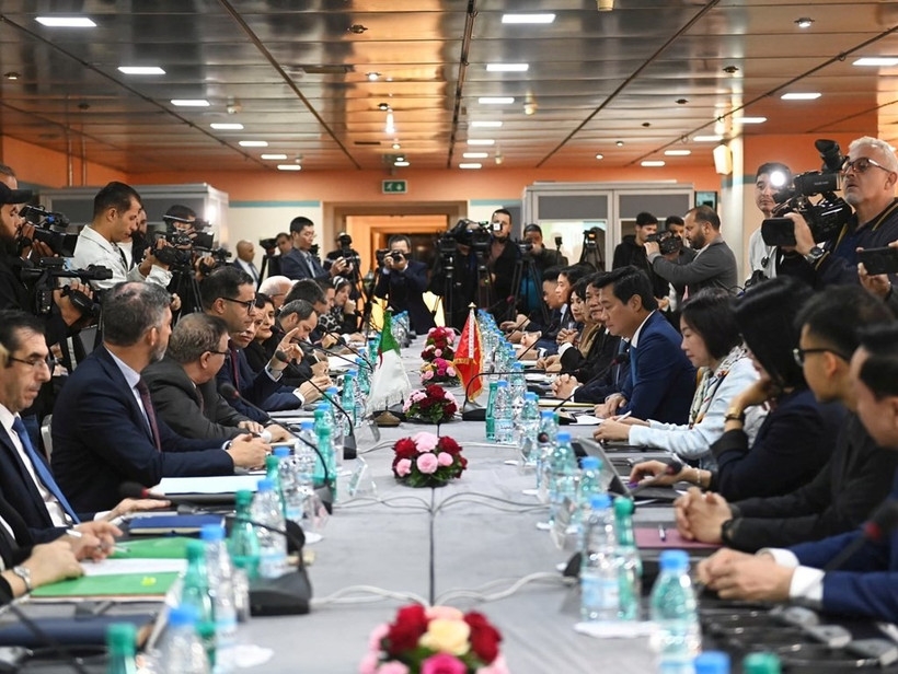 The 13th meeting of the Vietnam-Algeria Inter-Governmental Committee is held in Algiers from November 16-17. (Photo: VNA)