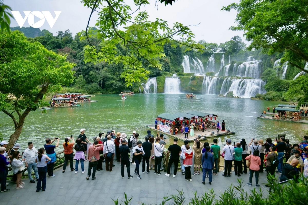Ban Gioc Waterfall is not only one of the most beautiful waterfalls in Vietnam but also the largest natural waterfall in Southeast Asia and the fourth-largest border waterfall in the world
