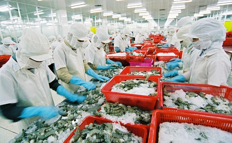 Shrimp remains Vietnam's strategic export item to Japan