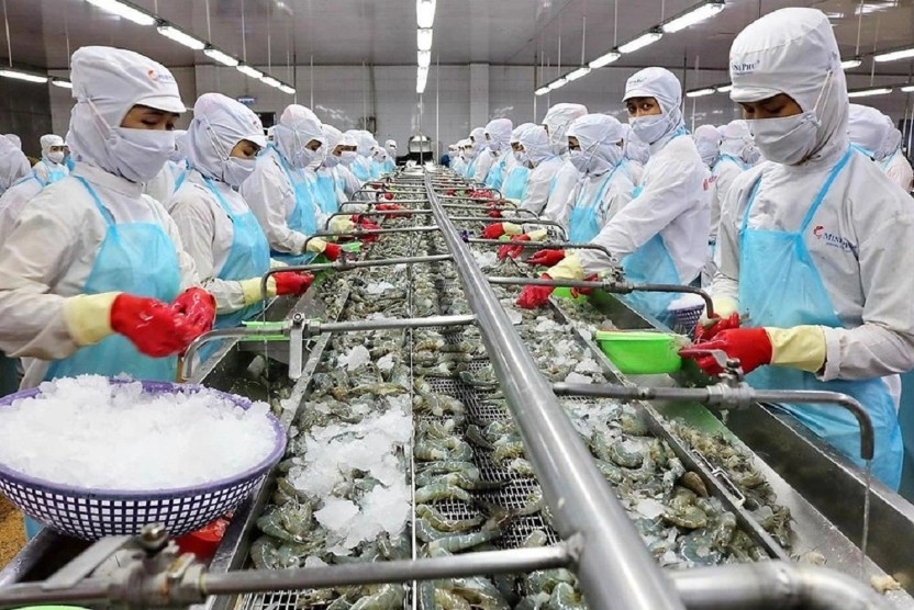 US anti-dumping tariff on Vietnamese shrimp is likely to reach 35.29%