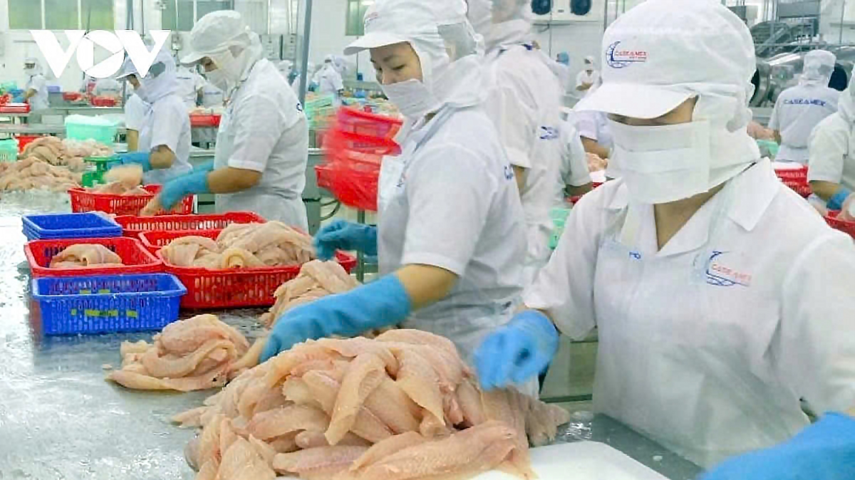 Catfish fillets are among key exports of Vietnam to Singapore