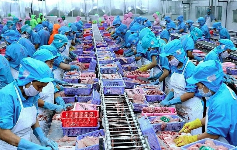 Vietnam’s aquatic shipments to Japan bounce back sharply (Photo: Illustrative image)
