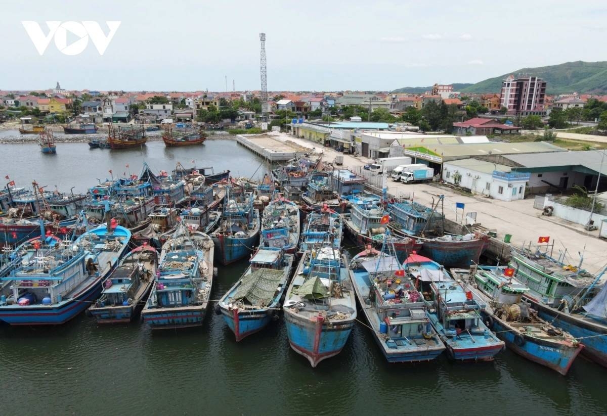Fishermen dock their boats at a shelter basin to unload and sell their catch