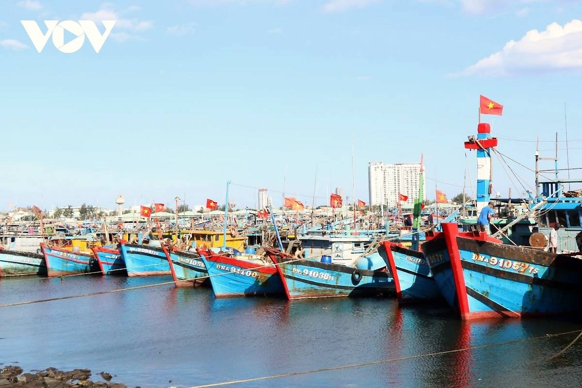 Fishing vessels moor at Tho Quang fishing port in Da Nang, central Vietnam