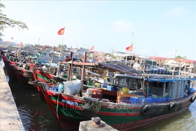 At present, all fishing vessels in Hai Phong have been registered and licensed for operation, with their data cleaned and cross-checked on VNeID, updated in the national fisheries management software system VNFishbase, and equipped with vessel monitoring system devices. (Photo: VNA)
