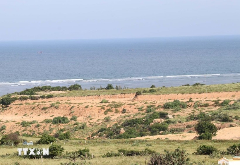 The chosen location for the construction of the Ninh Thuan 1 Nuclear Power Plant is Phuoc Dinh commune