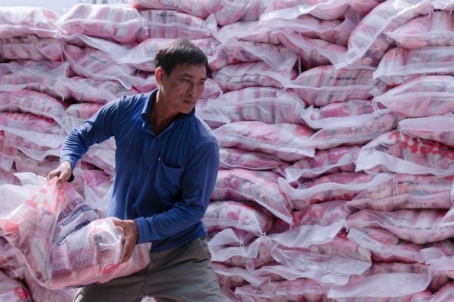 A worker loads rice packs for exports. (Photo: VNA)