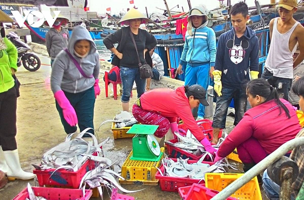 Fishermen sell their catch at Thuan An Port, Hue City