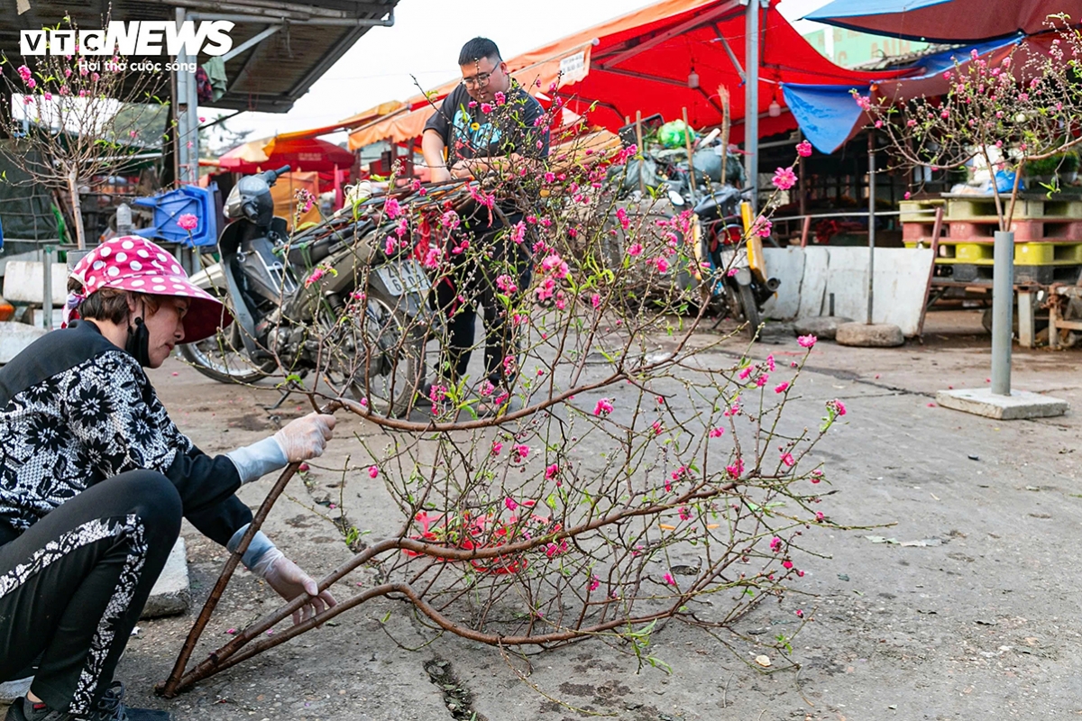 “Although the season has just begun, there are already many customers,” says a vendor. “At this stage, we mainly sell smaller branches as they are more affordable. Larger branches will be brought to the market in about two weeks’ time.”