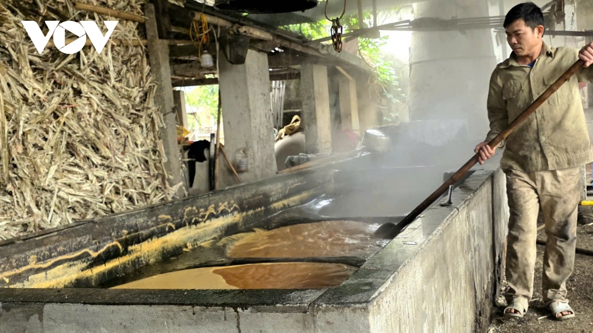 Tao Van Binh, a skilled molasses producer says he has returned to his hometown after years of working elsewhere to continue his family’s traditional craft. Although the work is seasonal, it provides a stable source of income, helping his family secure a steady income while creating jobs for four local workers, he says.