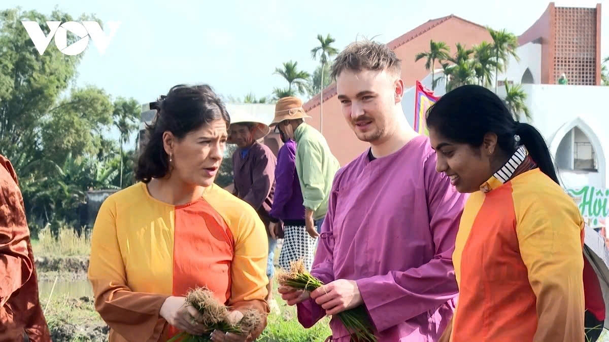 International visitors observe and learn rice seedling transplanting in Vietnam