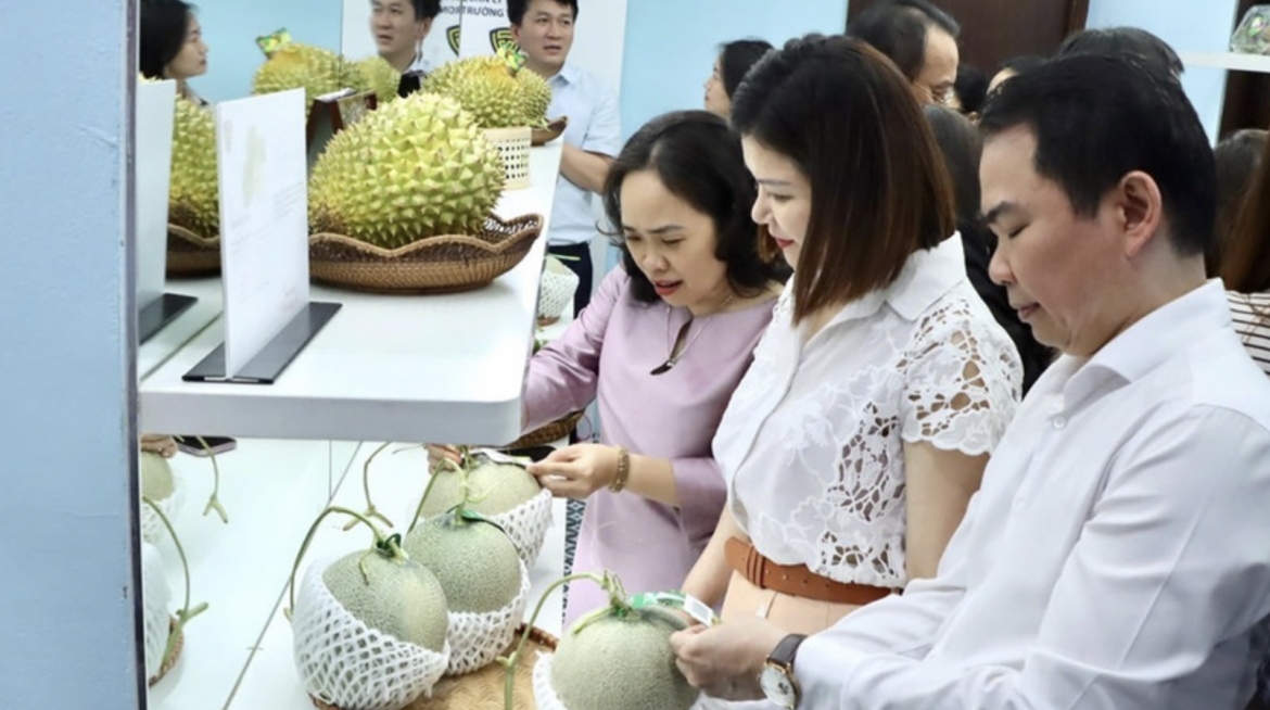 Fruit products displayed at the exhibition are equipped with QR codes for origin traceability. (Photo: VNA)