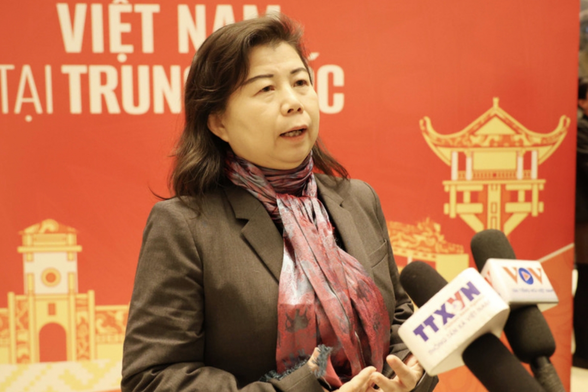 Liu Ying, a researcher from the Chongyang Institute for Financial Studies under the Renmin University of China (Photo: VNA)