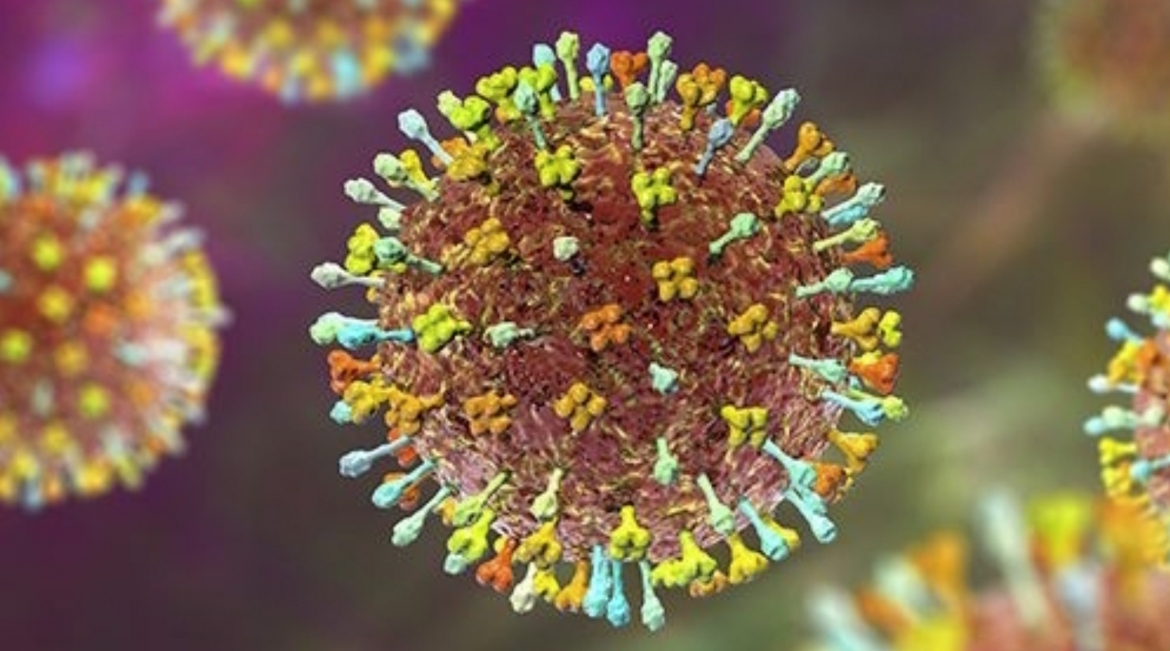 The Nipah virus is an RNA virus in the Paramyxoviridae family