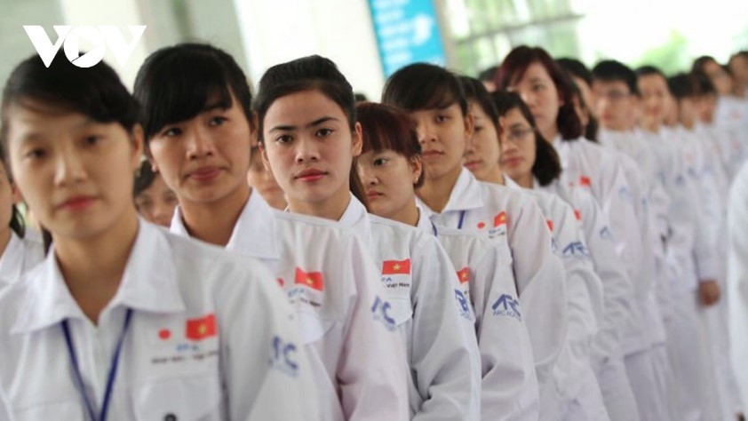 Vietnamese workers are highly regarded in Japan