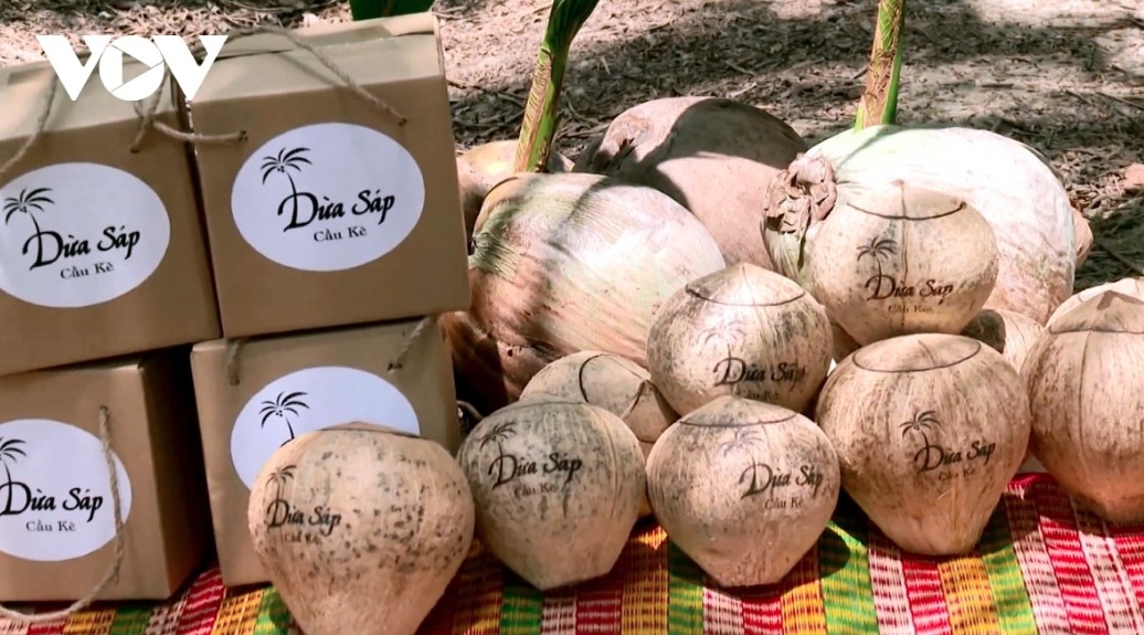 Coconut exports gross nearly US$534 million in 2025, boosted by a new export protocol with China