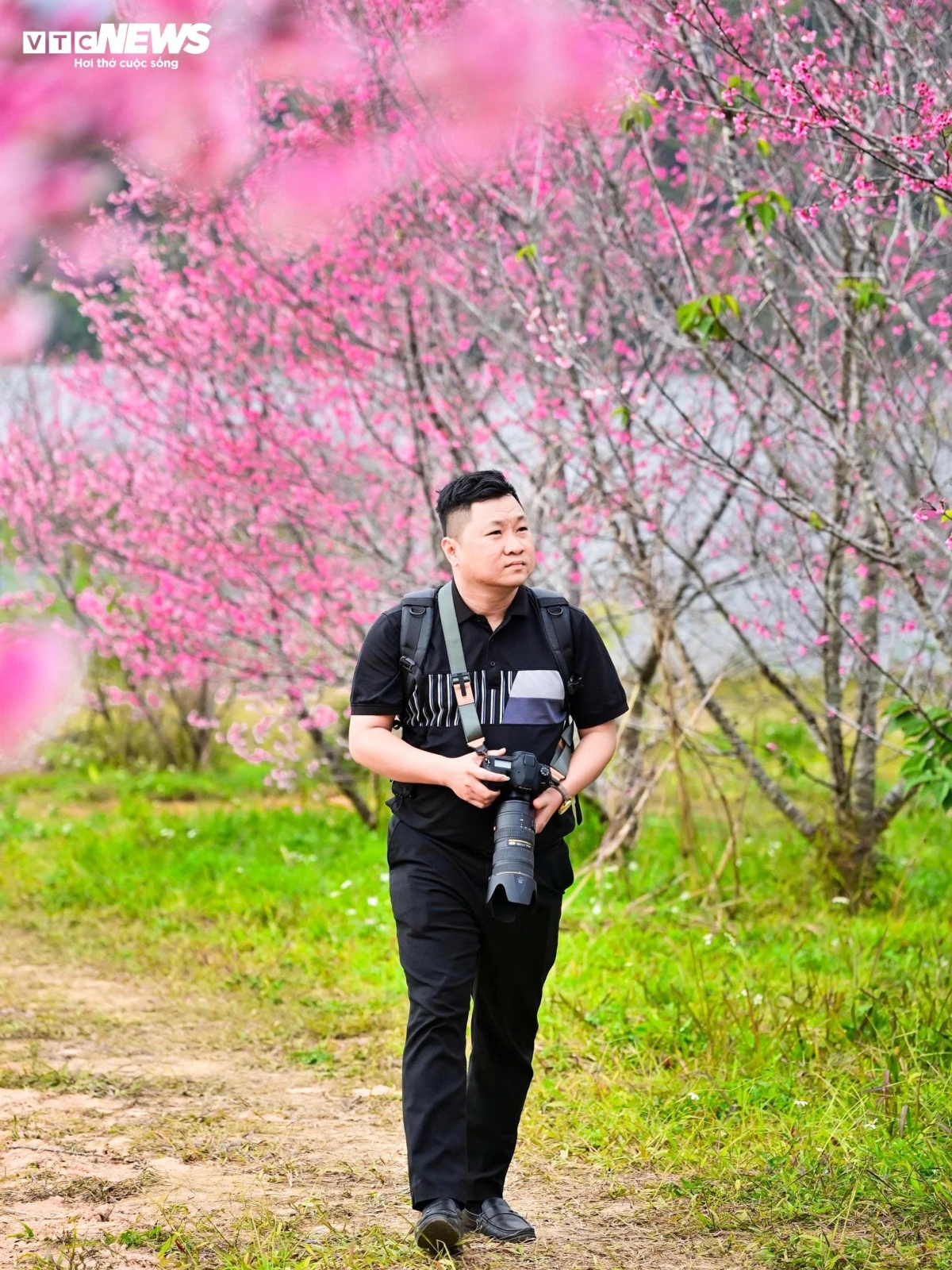 Cherry blossoms also attract international tourists to Dien Bien. Many foreign groups have learned about the process of planting and caring for the flowers, while also experiencing the culture and life of the local ethnic communities.