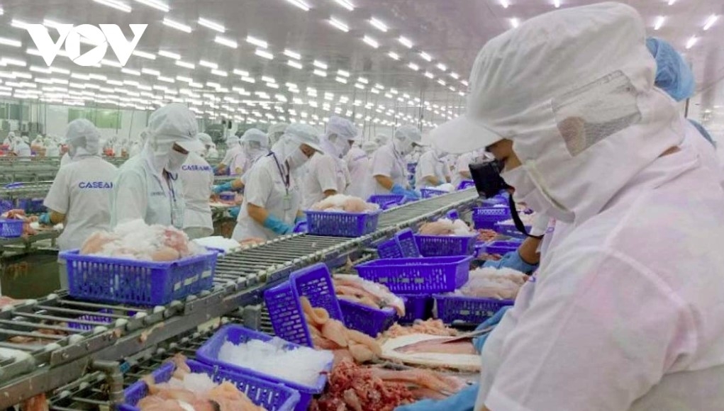 Chilled, frozen fish fillets and fish meat lead Vietnamese seafood exports to the Singaporean market