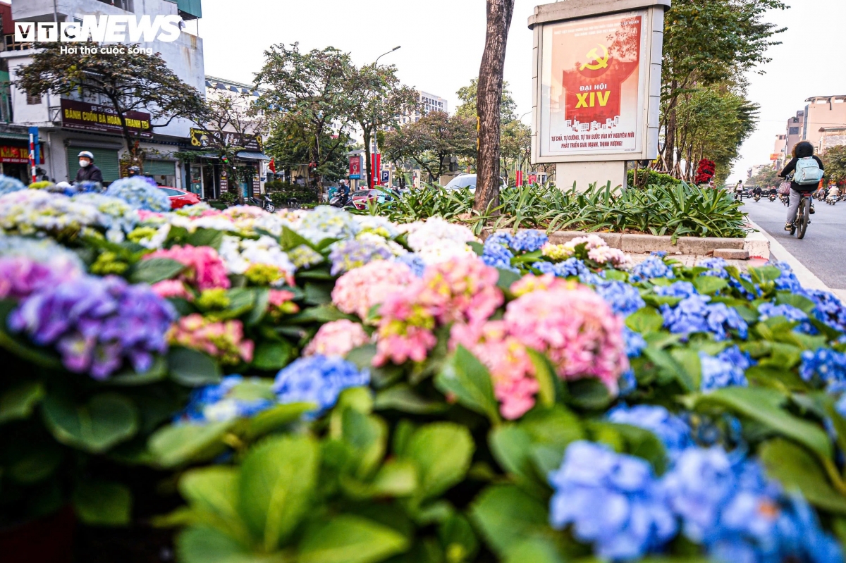 Along Van Cao Street, a display of panels, posters and public-information slogans enhances the area’s appearance and reflects the capital’s thorough preparations for a major political event.