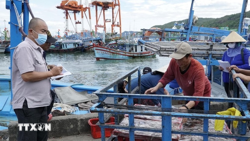 Gia Lai steps up IUU crackdown with a smart warning system. (Photo: VNA)