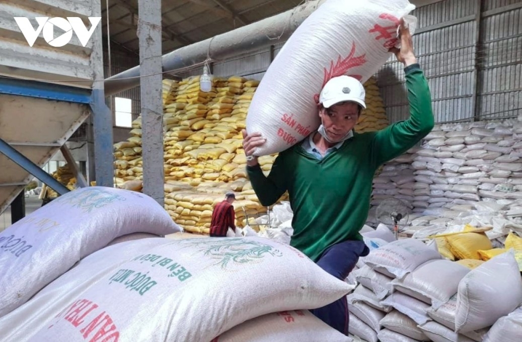 Vietnamese rice shipments resume after the Philippines reopens rice imports on January 1, 2026.