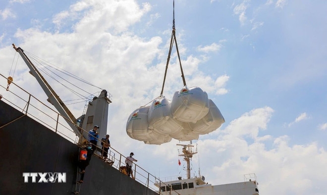 Vietnam exports more than 8.06 million tonnes of rice in 2025. (Photo: VNA)