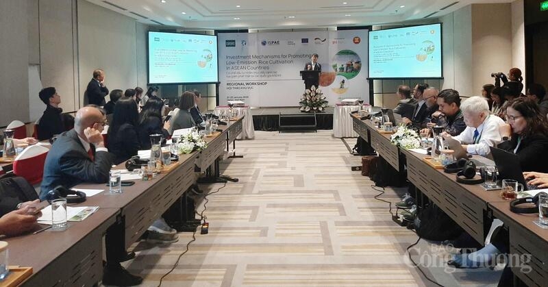 Delegates attend a workshop on low-emission rice in the Mekong Delta (Photo: congthuong.vn)