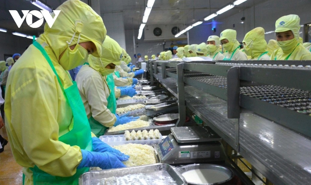 Vietnam’s shrimp exports hit a record US$4.6 billion in 2025