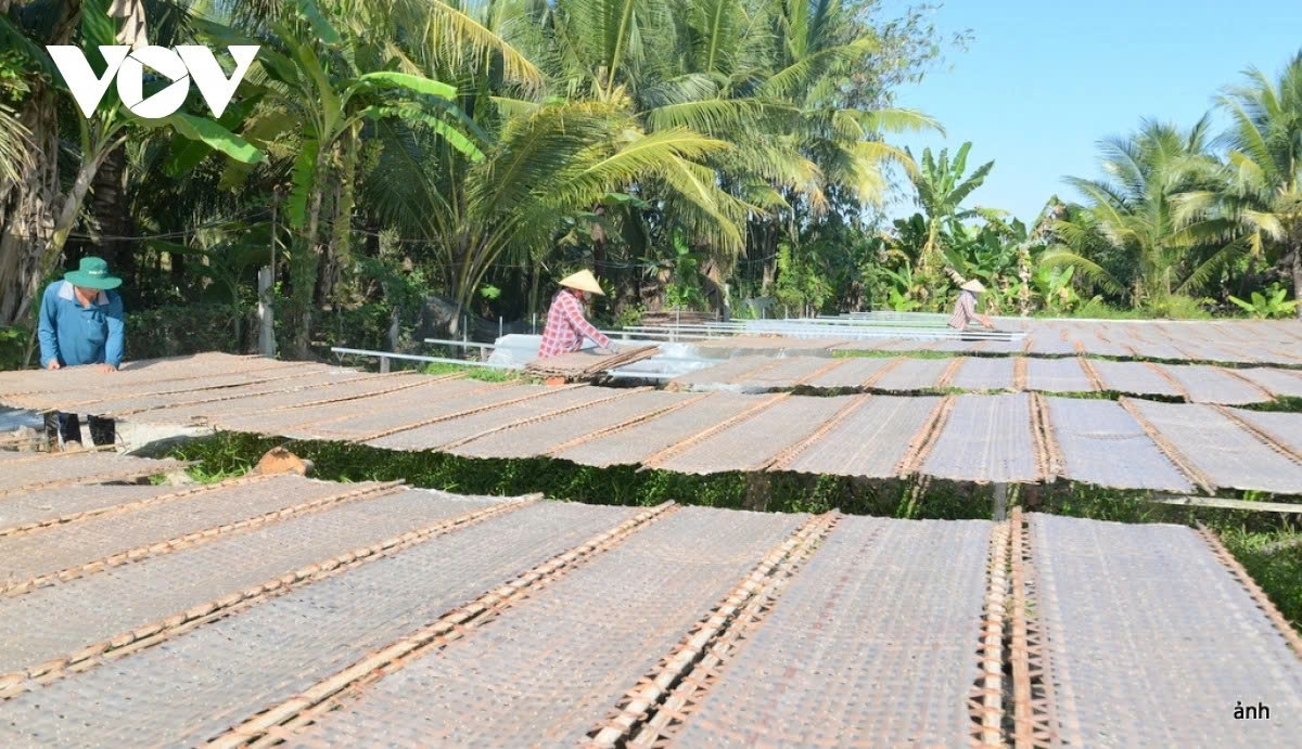 From dawn to dusk, local villagers work tirelessly to ensure batches of cakes are ready for the Tet market.