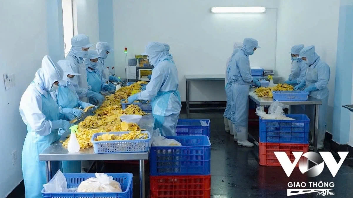 Vietnamese businesses affirm their readiness to cooperate with the Government in transforming the Congress Resolution into engines of development