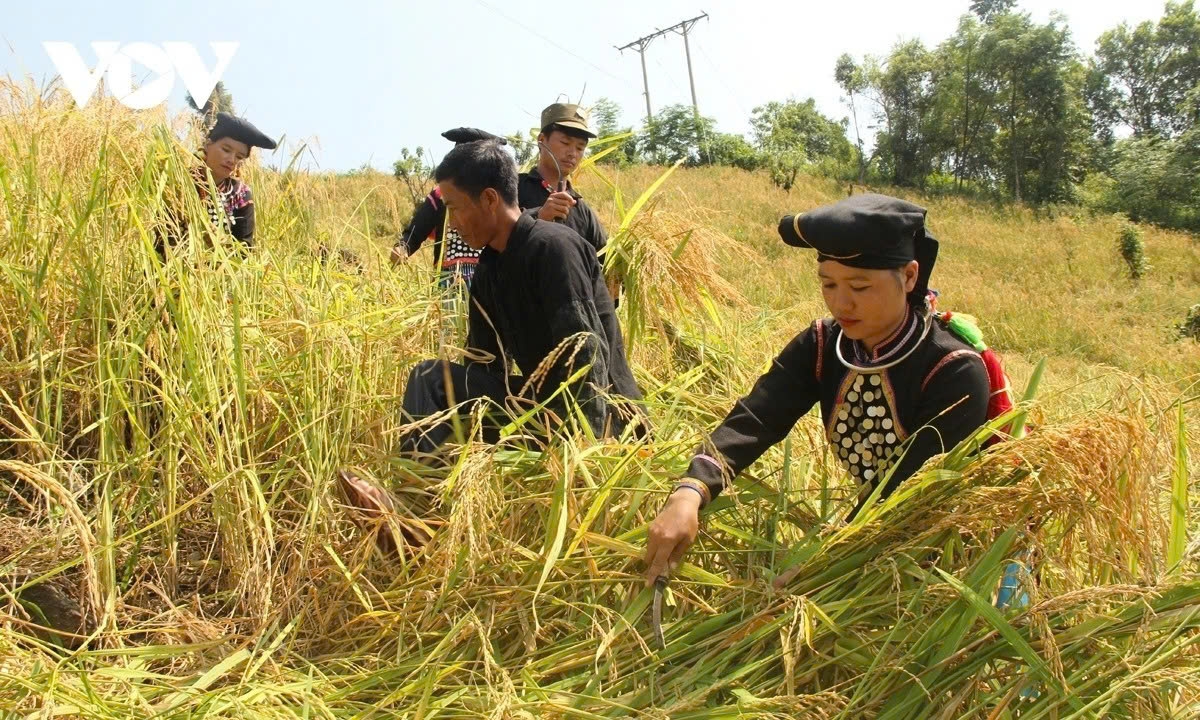 Vietnam’s poverty reduction has been widely described as transformative, helping to reduce the poverty rate nearly 17% to about 5%