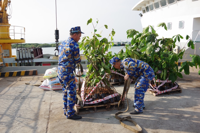 Saplings and supplies loaded onto Ship 638 for “Greening Truong Sa” programme