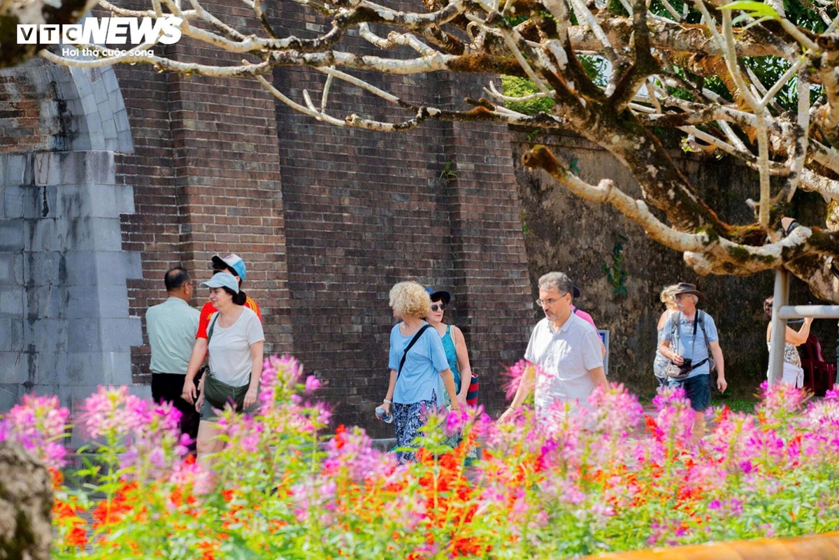 Notably, thousands of international visitors tour and experience the festive spring atmosphere inside the Hue Imperial Citadel, one of the most prominent heritage attractions within the Hue Monuments Complex.