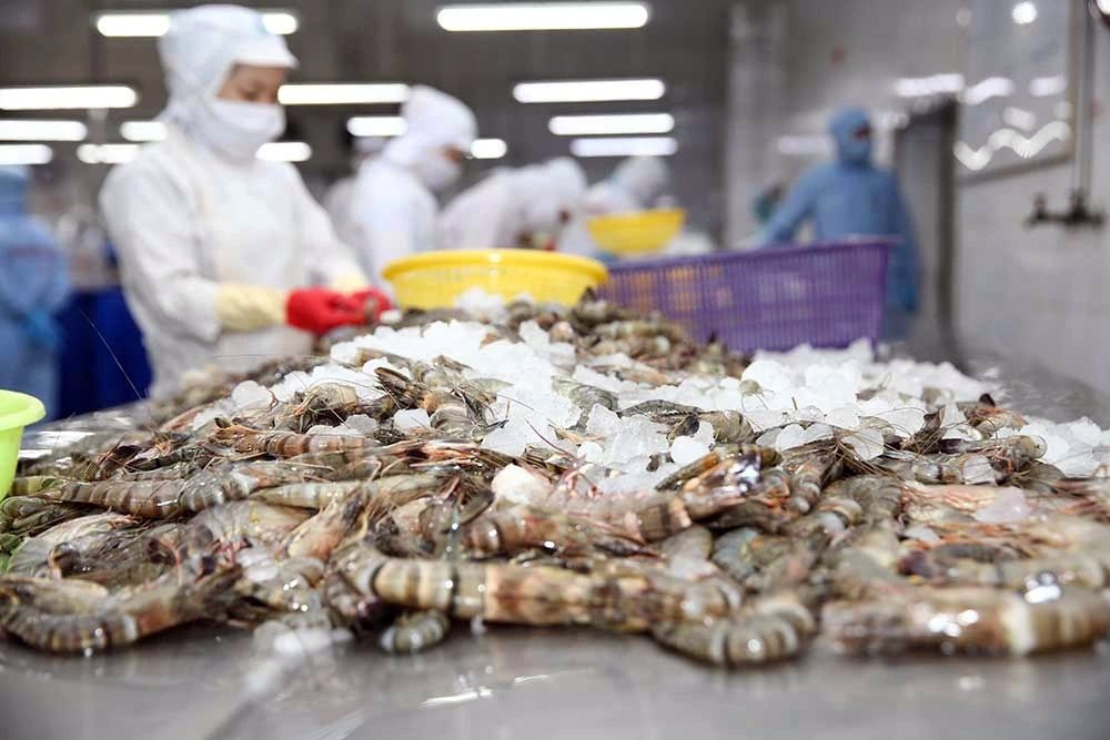 The Ú Department ò Commerce's decision to lower anti-dumping duties on Vietnamese shrimp í expected to faciltate the export of the product to the US market. (Illustrative image)