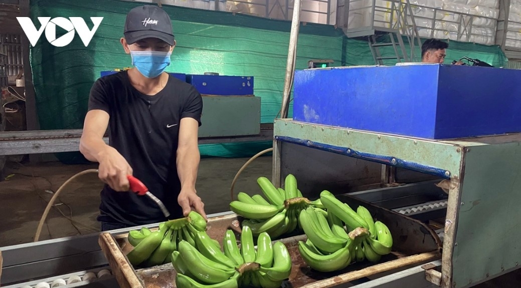 Agricultural products make up the largest share of exports in January 2026, with earnings reaching approximately US$3.6 billion