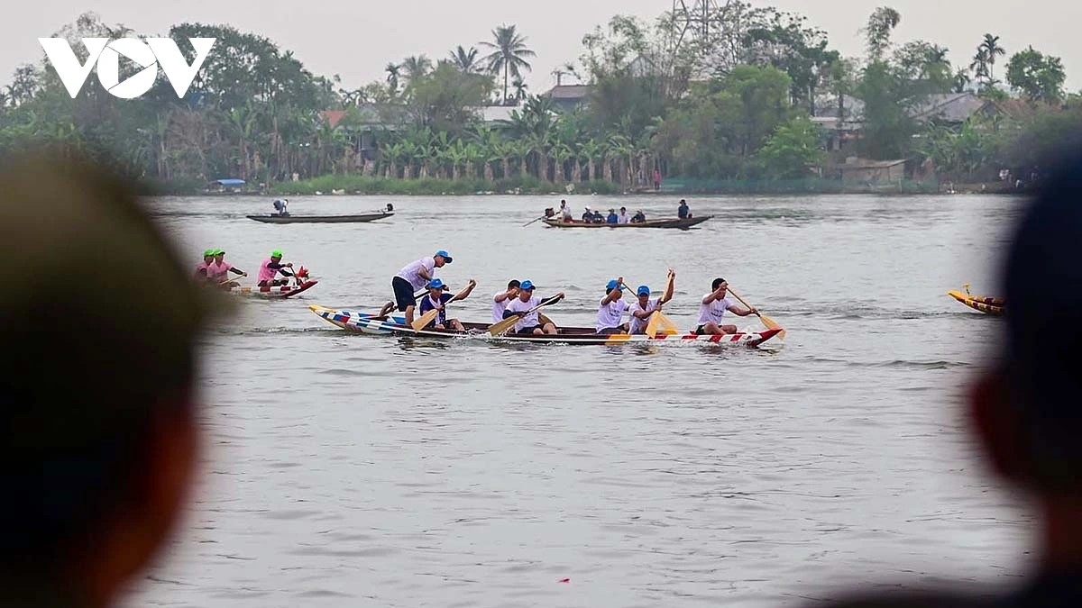 The fierce competition among boats and the cheering crowds create a vibrant, festive scene reminiscent of the riverside villages of Hue in the early days of spring.