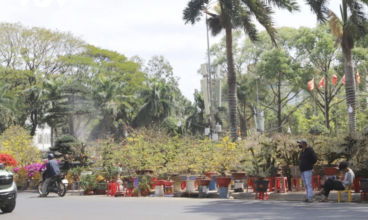 The Lunar New Year flower market in Buon Ma Thuot opens on February 2, 2026, the 15th day of the twelfth lunar month, with gardeners and artisans from within and beyond Dak Lak featuring a wide range of flowers and ornamental plants for shopping, sightseeing and photos in the run-up to the year-end holidays.