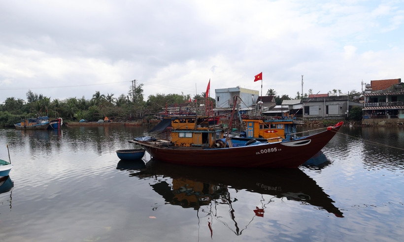 Da Nang is working to restructure its fishing fleet in efforts to promote to legal and sustainable fisheries development.