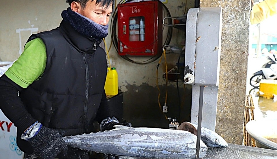 After being selected and collected from incoming fishing boats, the fish are transferred to designated areas for washing and cutting. Each grilling site spans several hundred square metres and is equipped with charcoal stoves, electric fans, and other tools. In the run-up to the Lunar New Year, many sites hire additional workers to meet order demand, while at smaller operations the owners often handle the grilling themselves.