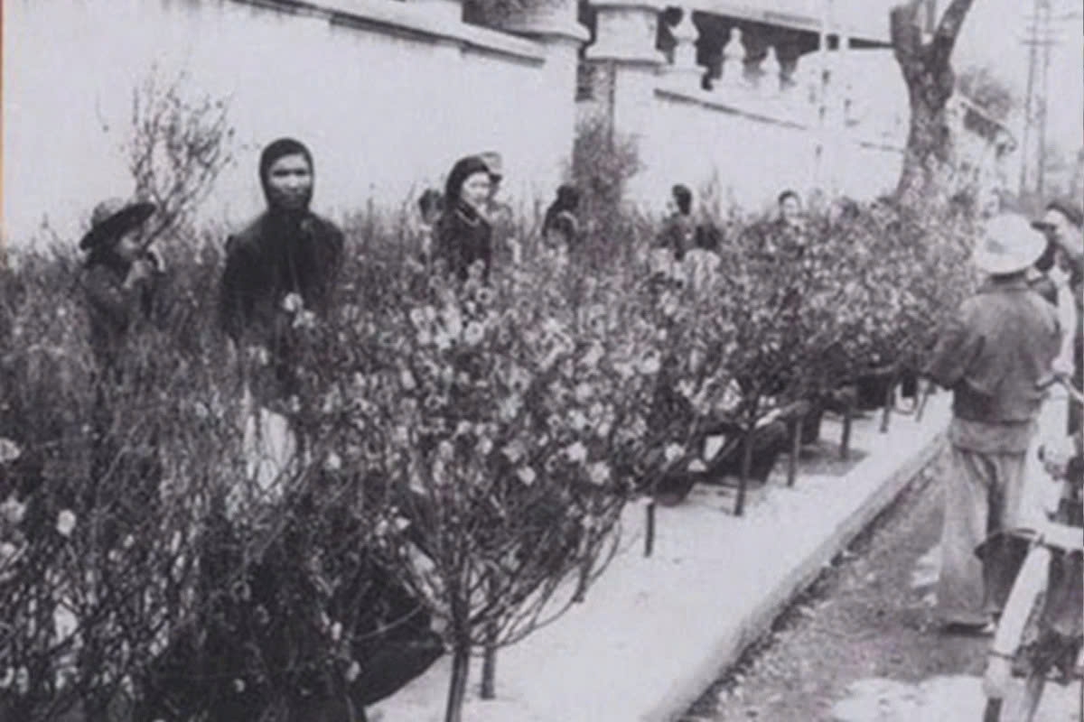 Established in the early 20th century, Hang Luoc Tet flower market is Hanoi’s oldest flower market and a vivid reflection of Trang An culture. Held only once a year, from the 15th day of the twelfth lunar month until the final afternoon of the year, the market is not only a place for buying and selling peach blossoms and kumquat trees, but also a space where traditional memories are preserved and the flavour of Hanoi’s traditional Tet can be felt in the final days of the year.(Photo: A bustling scene at Hang Luoc flower market in the days leading up to Tet in the 1990s, captured by photographers Steve Raymer and Nevada Wier.)