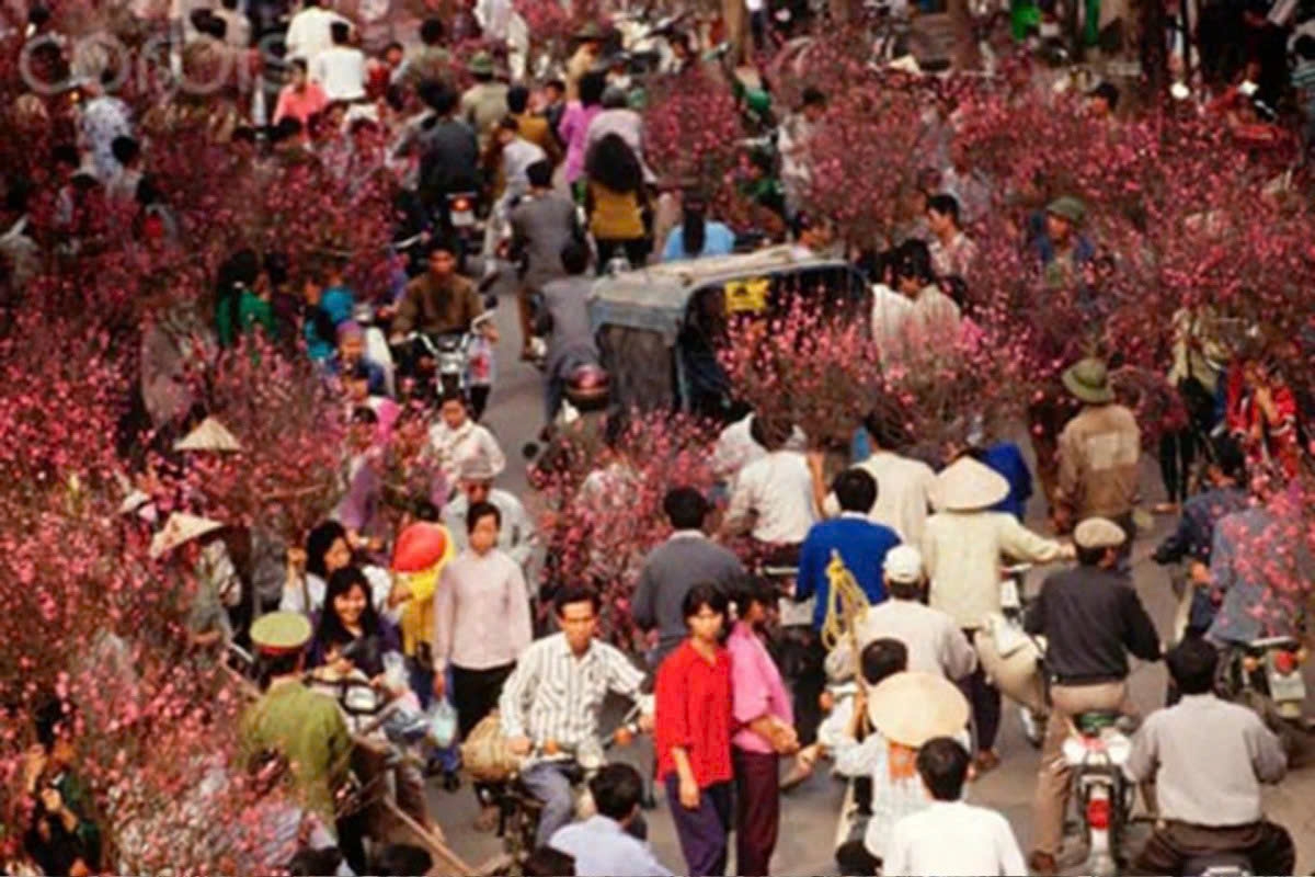 Peach blossoms are a common sight at Hang Luoc flower market in the 1990s.