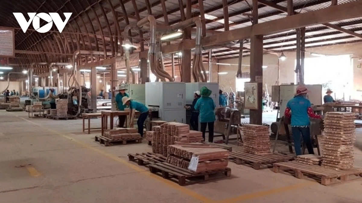 Imports and exports should be diversified instead of focusing on a few traditional key commodities, experts say