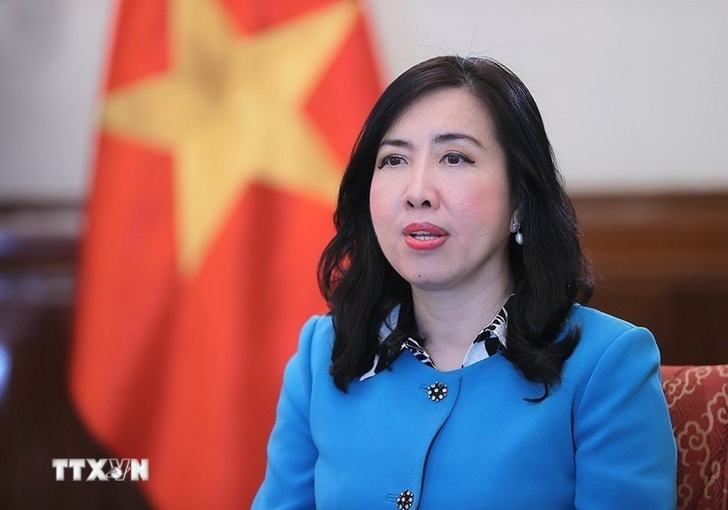 Deputy Minister of Foreign Affairs Le Thi Thu Hang. (Photo: VNA)